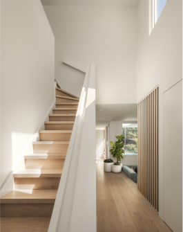Timber stair and interior detailing in northern beaches residential architecture project by Braaid, architecture and interior design studio 