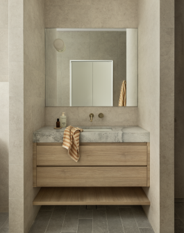 Minimal ensuite bathroom with timber vanity in Balgowlah residential architecture 